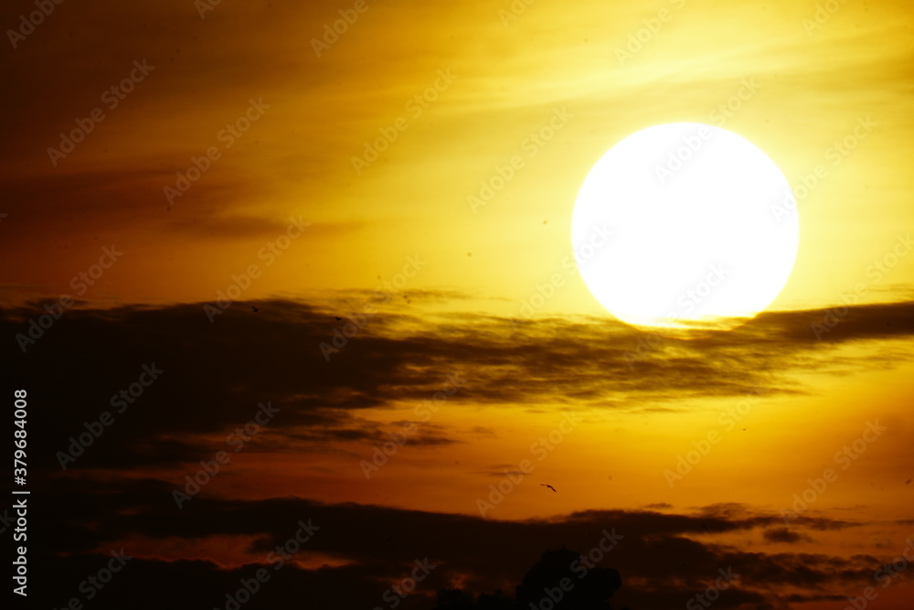 Fototapeta premium sunset