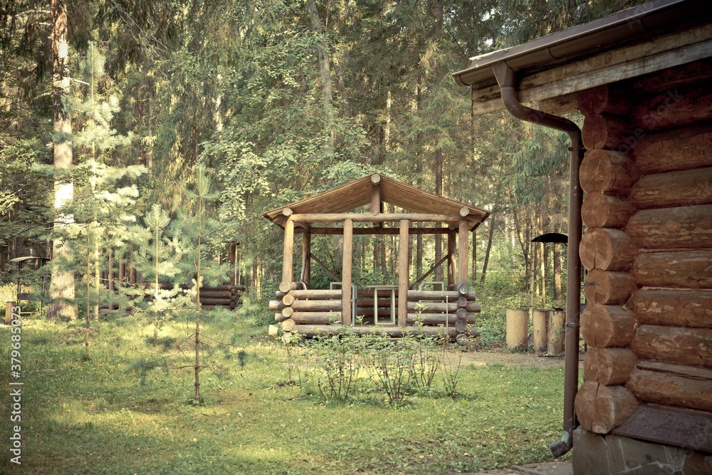 wooden houses in the forest on a background of greenery wooden houses in the forest on a background of greenery