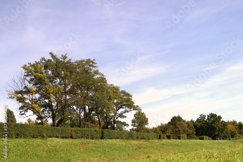 Landscape with trees against the blue sky.3