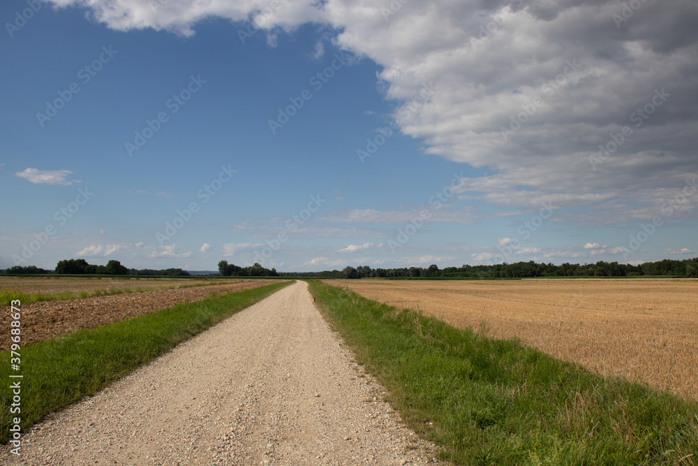 gravel road in the field