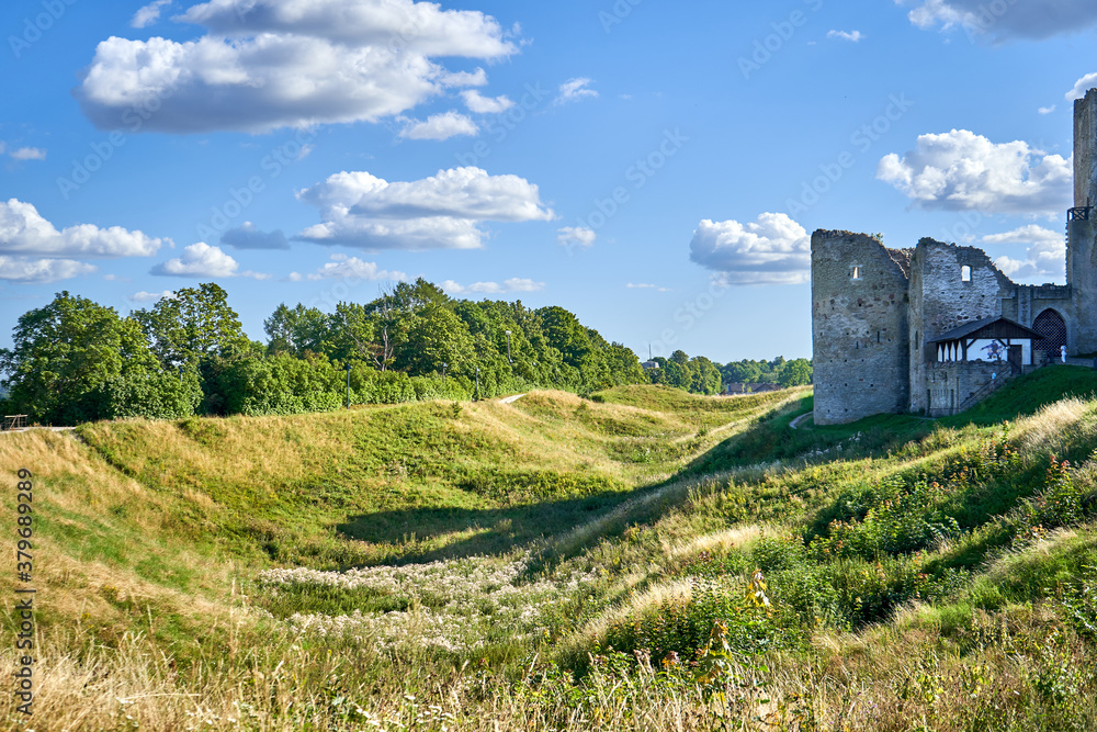 Ruins of the castle near the valley with meadows 