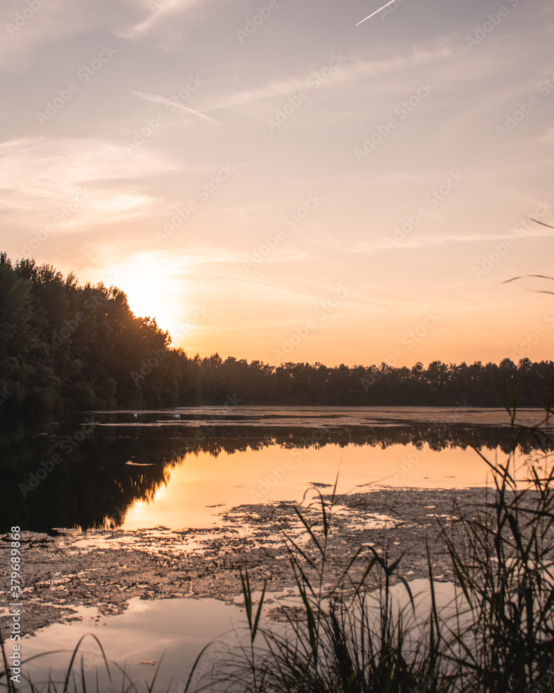Fototapeta premium sunset during golden hour over the lake
