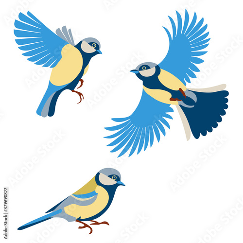 Three figures of a flying tit