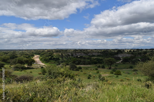 Tanzânia Safari © Vincius