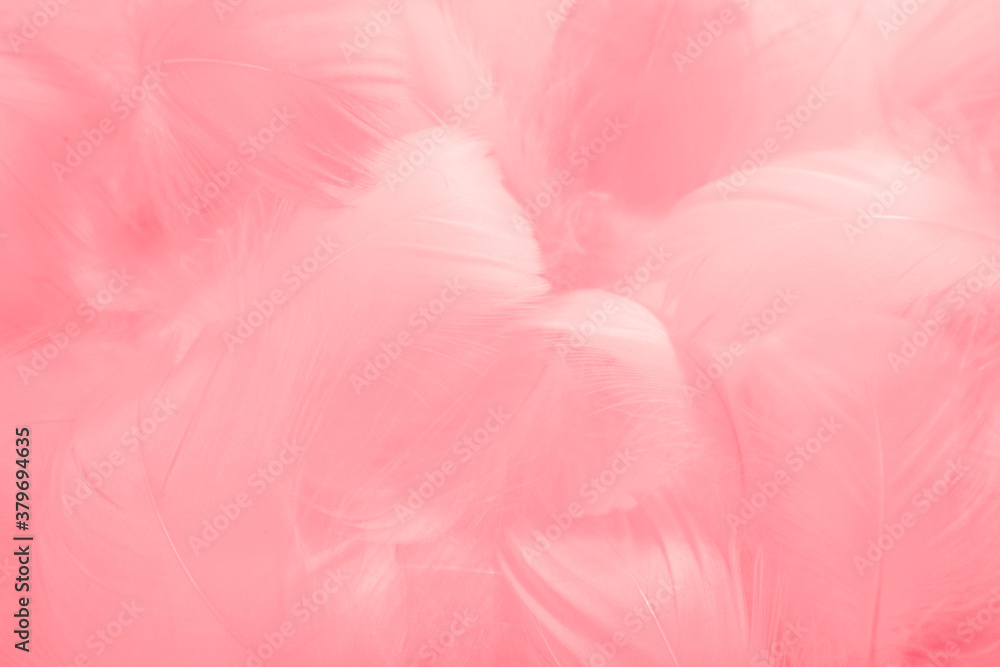 Fototapeta premium Beautiful abstract gray and pink feathers on white background, white feather frame texture on pink pattern and pink background
