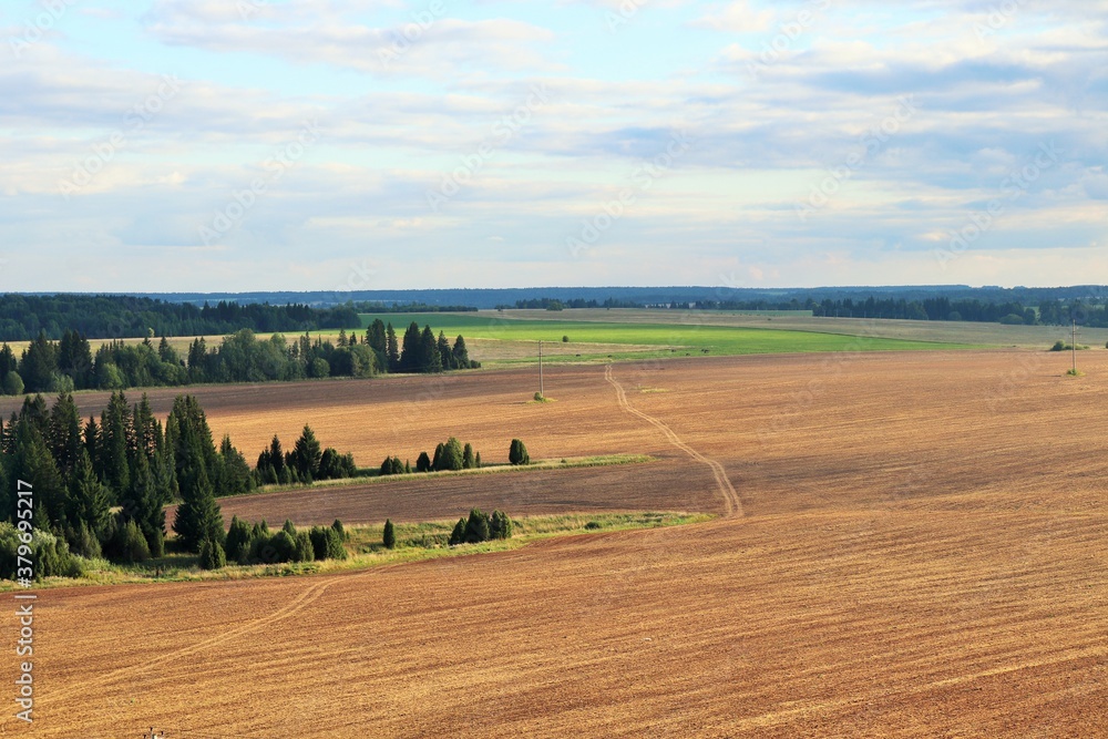 Fototapeta premium Bird's eye view of the coniferous forest and agricultural fields