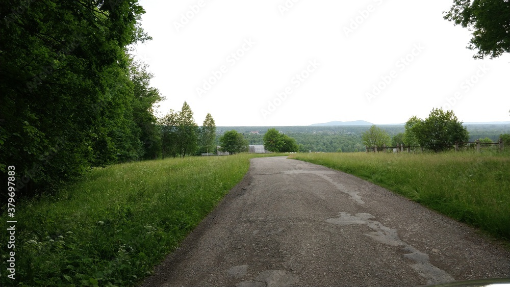 Fototapeta premium road in the forest