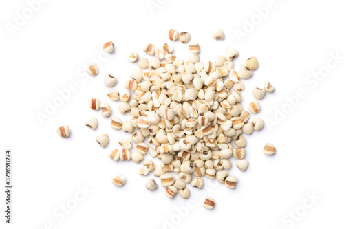 Flat lay (top view) pile of Job's tears ( Adlay millet) isolated on white background. photo