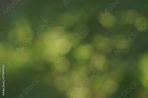 green background with light green bokeh