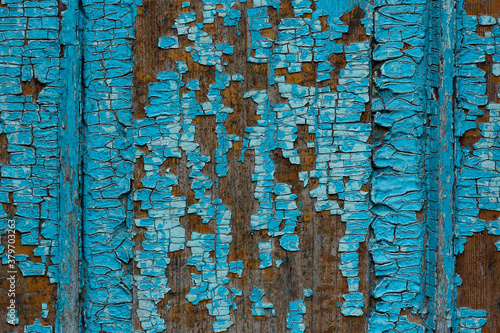 blue texture stump background age of wood