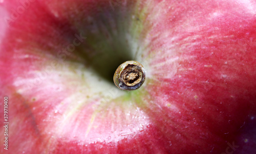 close-up of a organic and fresh apple