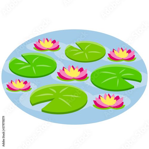 Nenuphars. Water lily or lotus. Plant on lake and blue pond. Big green leaf. Element of nature, forest and wild life. Swamp Pink flowers. Flat cartoon