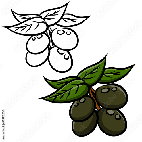 Olive. Green vegetable on branch with leaves. Element of oil and a healthy diet. Cartoon illustration isolated on white