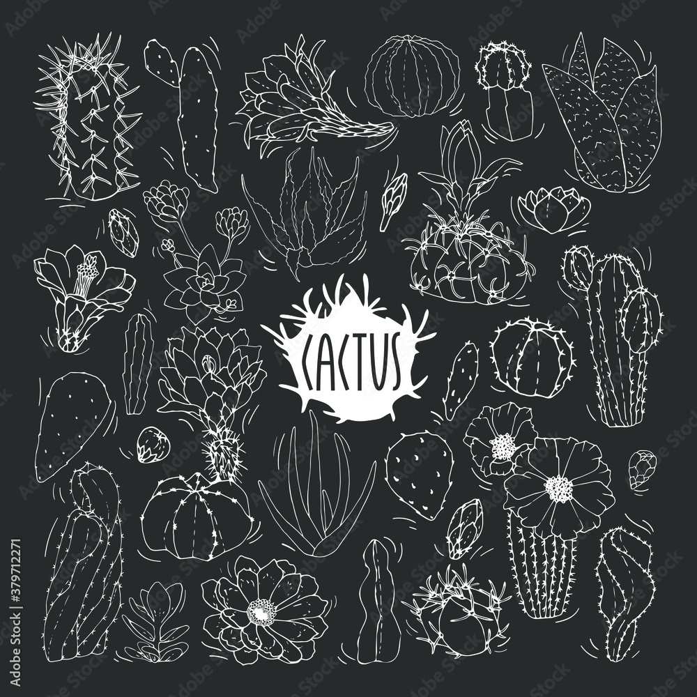 A set of cacti in black and white. Cactus sketch. Vector set of cacti, aloe and leaves. Collection of exotic plants. Decorative natural elements isolated on white. Cactus with flowers. A set of cacti in black and white. Cactus sketch. Vector set of cacti, aloe and leaves. Collection of exotic plants. Decorative natural elements isolated on white. Cactus with flowers.