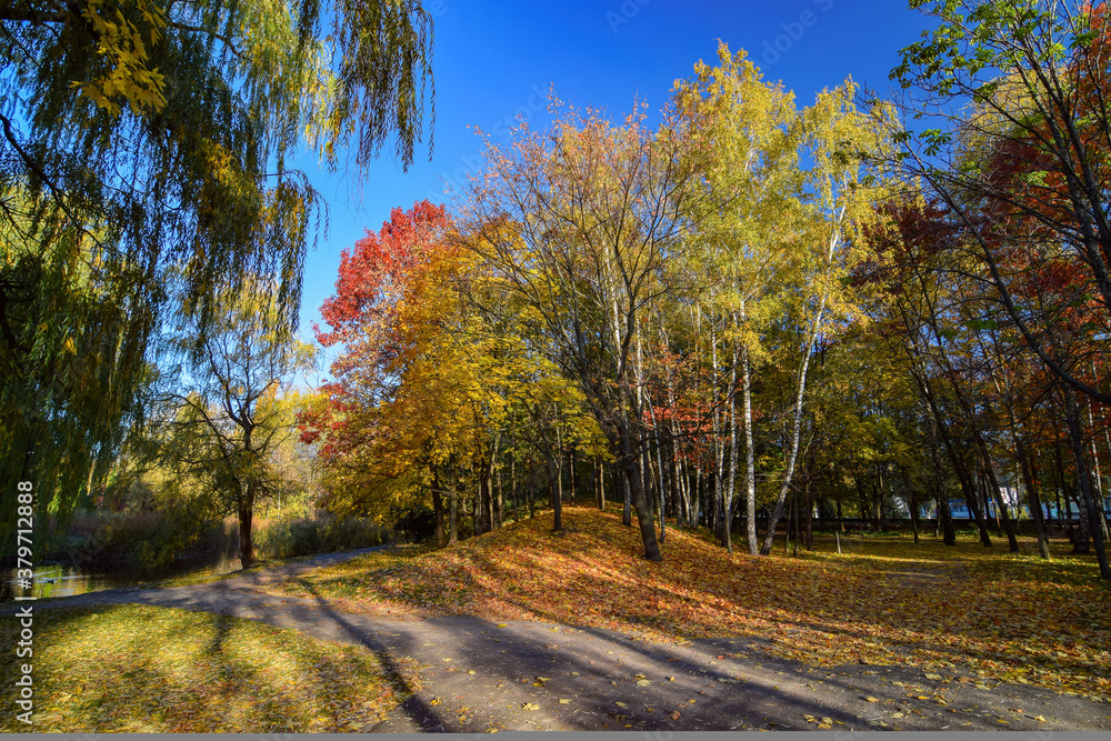 Beautiful romantic alley in autumn park with colorful trees