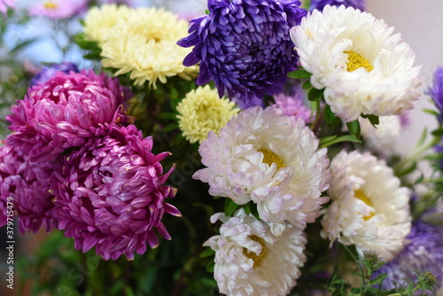 Joyful bouquet of bright Terry asters pink, white, yellow, blue close-up.
