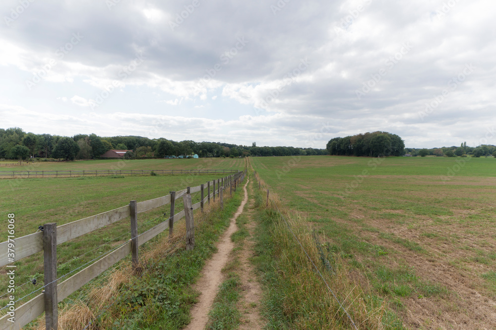 An agricultural field near Groesbeek, the Netherlands