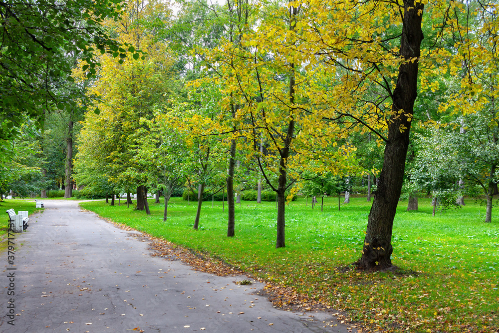 Autumn park without people