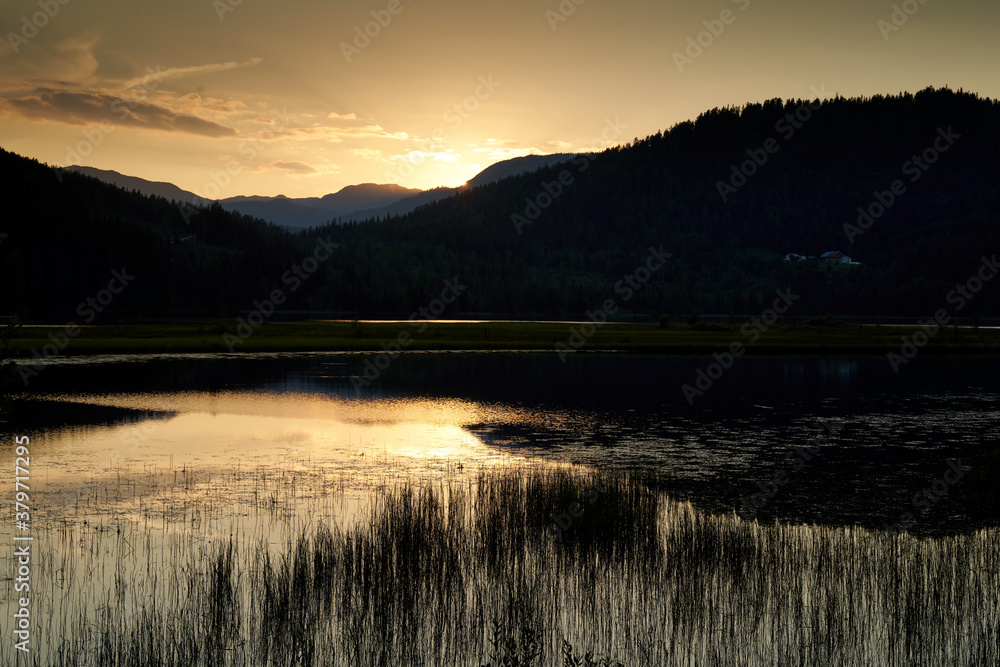 Late evening landscape with reed, pine forest, lake and mountains in the background in Telemark, Norway