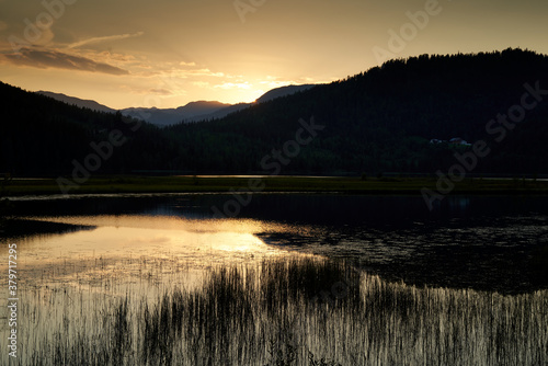 Late evening landscape with reed, pine forest, lake and mountains in the background in Telemark, Norway