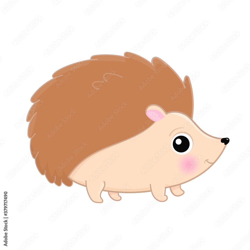 Cute cartoon hedgehog isolated. Vector. Cute cartoon hedgehog isolated. Vector.