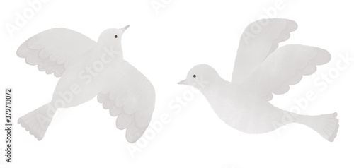 白い鳥のイラスト