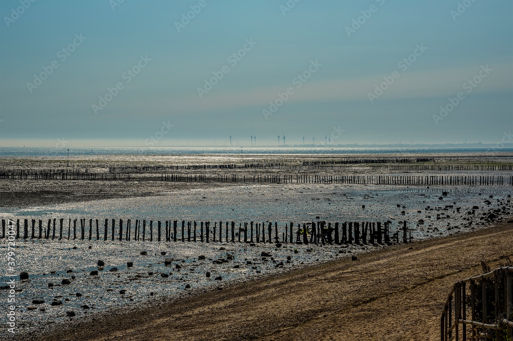 The sun glistens on the sea defenses and beach at West Mersea, UK in the summertime