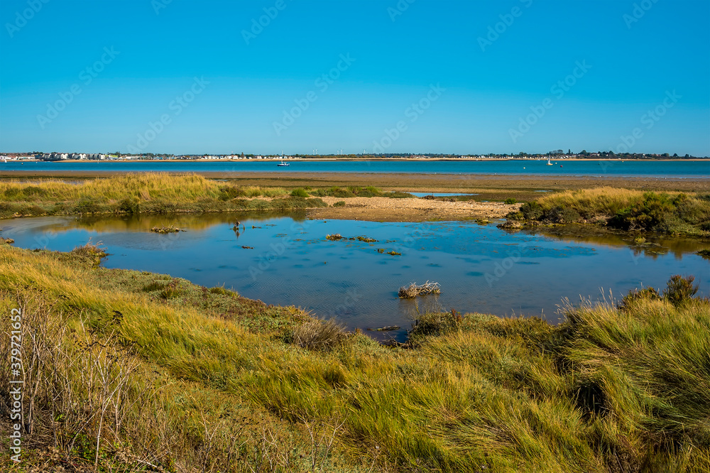 A view across the East Mersea flats and the Colne River towards Brightlingsea, UK in the summertime