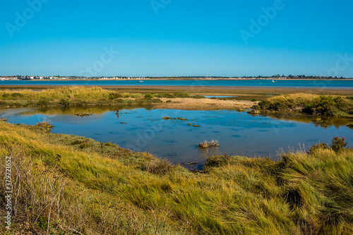 A view across the East Mersea flats and the Colne River towards Brightlingsea, UK in the summertime