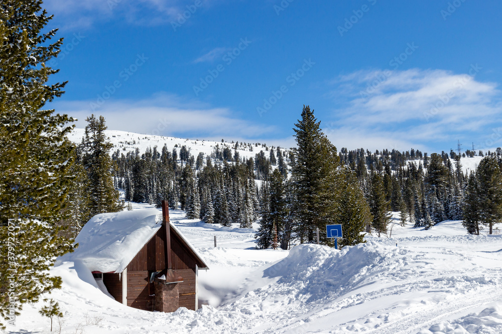 Winter landscape in coniferous forest covered in sunny day at mountains. Cozy wooden house and children playground with basketball ring in white snow and snowdrifts. Concept of Active family holiday.