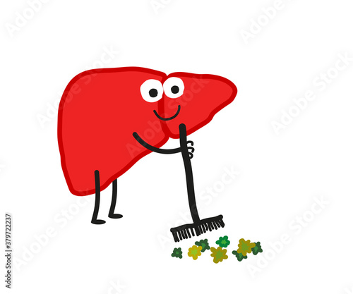 The human liver gets rid of toxins. Cartoon. Vector illustration.