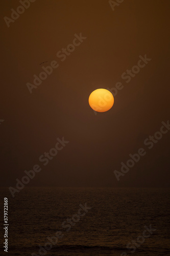 Amanecer de sol sobre el mar © Andrea