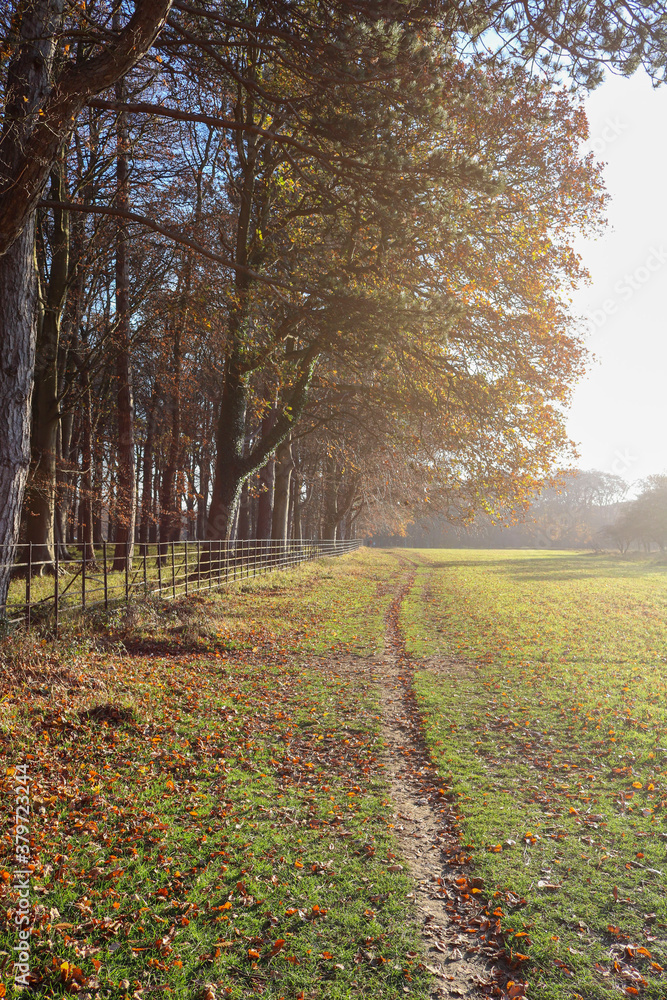 Fototapeta premium Path in autumn park