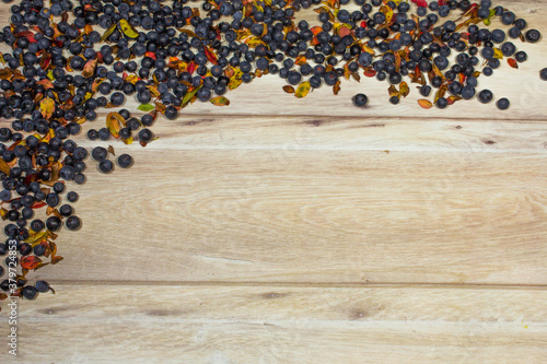 frame made of freshly picked blueberries and leaves