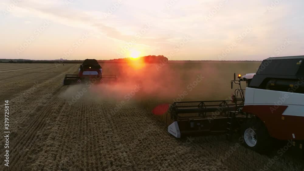 Wheat harvest. harvester harvests wheat in the field. harvesting. Agriculture. agricultural technology. view from above. Wheat harvest. harvester harvests wheat in the field. harvesting. Agriculture. agricultural technology. view from above.
