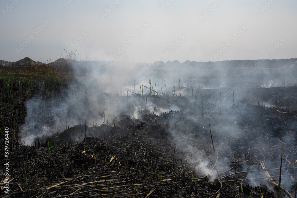 sowing field after a fire burnt earth and smoke sowing field after a fire burnt earth and smoke