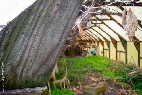 A Wooden Support Beam to an Abandoned Greenhouse