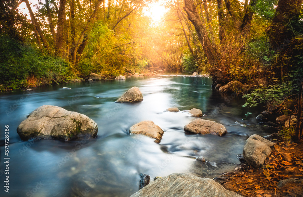 Calm blue river flowing in the forest, in autumn at sunset. Calm blue river flowing in the forest, in autumn at sunset.