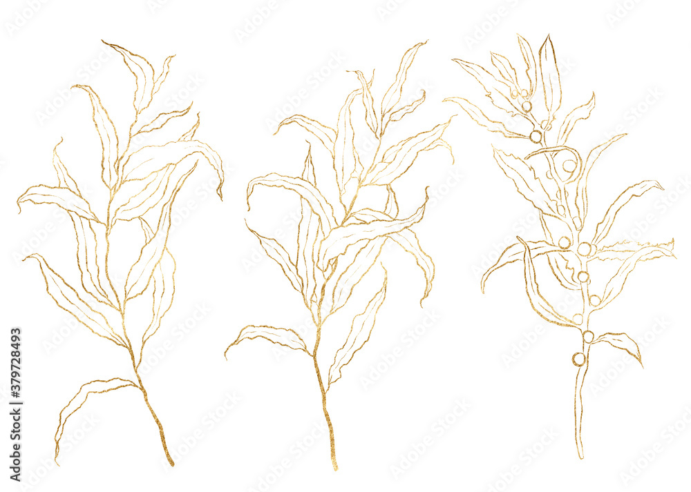 custom made wallpaper toronto digitalWatercolor autumn gold set with linear eucalyptus branches. Hand painted leaves isolated on white background. Floral illustration for design, print, fabric or background.
