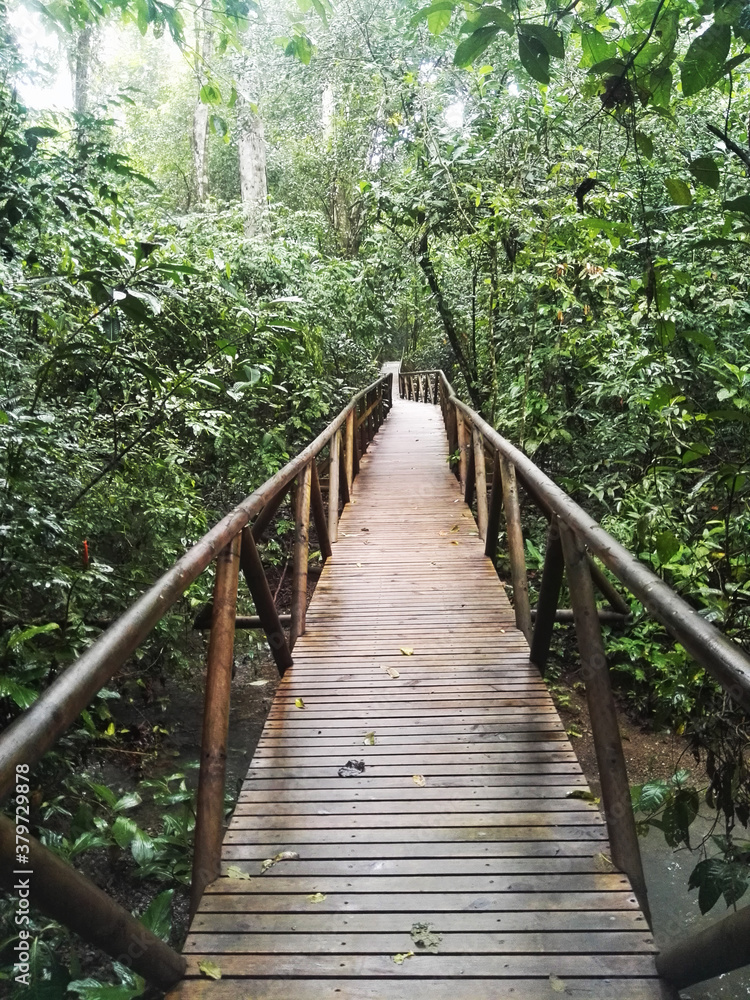 Puente naturaleza