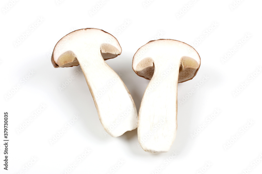 Fresh Boletus edulis (English: penny bun, porcini, king bolete or cep) isolated on white background. Close up.