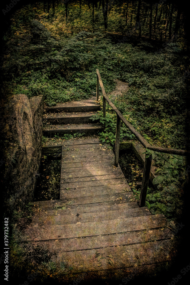 Mysterious trail in an enchanted autumn forest Mysterious trail in an enchanted autumn forest