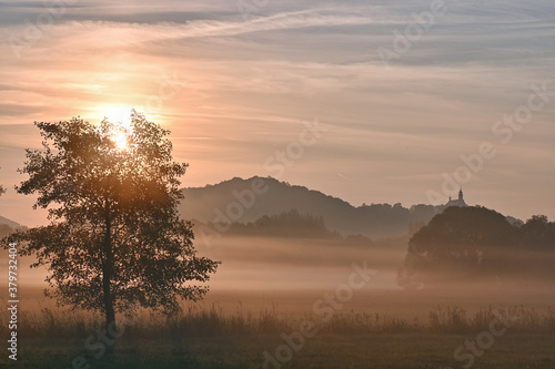 Morgenstimmung vor Sonnenaufgang und Nebel im Tal mit Hügel im Hintergrund und Baum mit Sonnenstrahlen