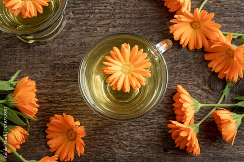 Calendula tea with fresh blooming plant, top view