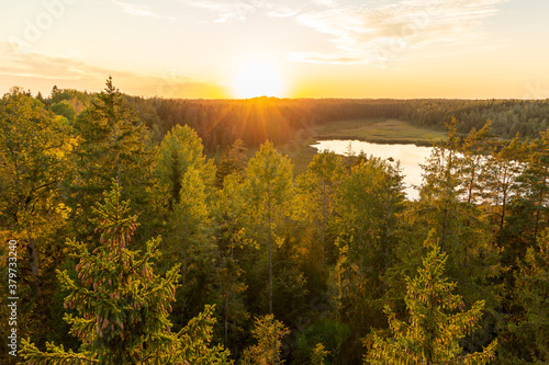 Panoramic view to the forest and lake from view tower in Kangari nature trail at sunset in September in Kangari in Latvia
