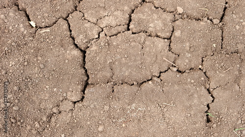relief of a dry, lifeless gray-brown land with a web of cracks during a drought as an illustration of climate change and natural disasters