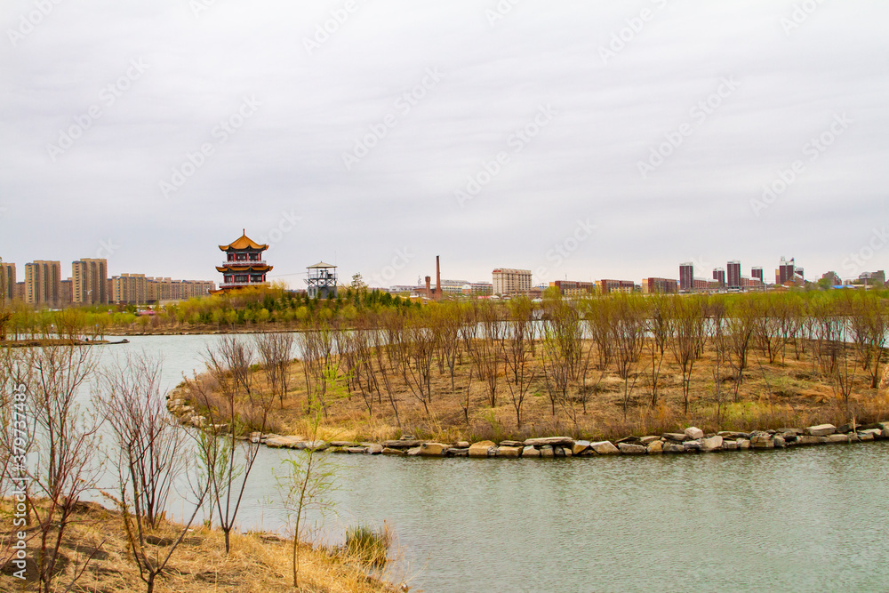Landscape of a Wetland Park in early spring in China
