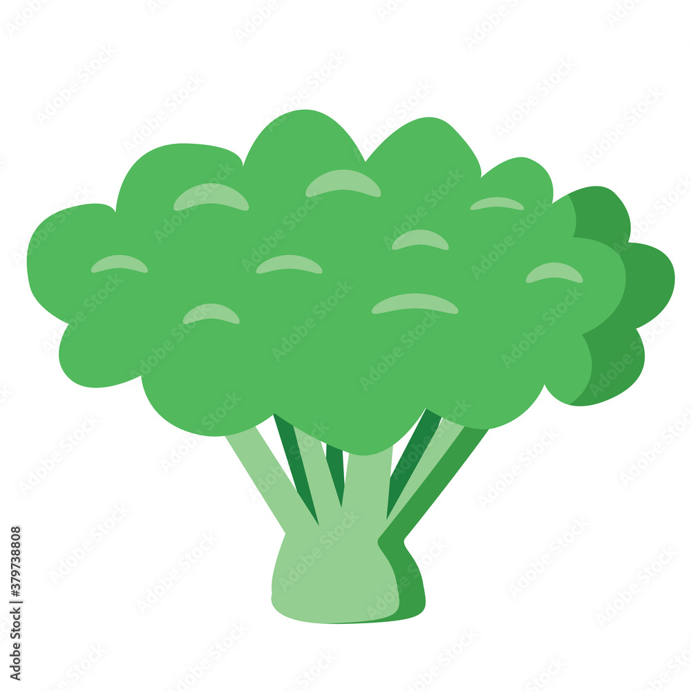 Drawn isolated green color broccoli in minimal style