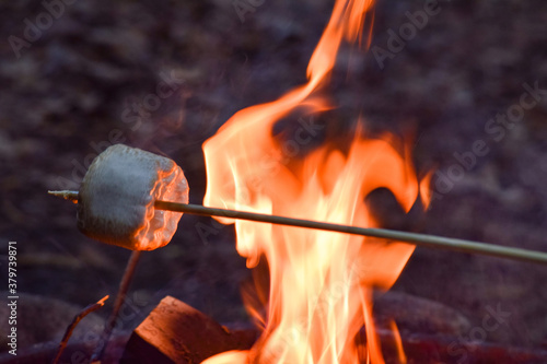 roasting marshmallow