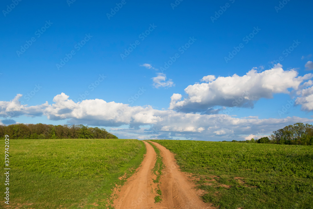 The road to the field against the background of the blue sky.